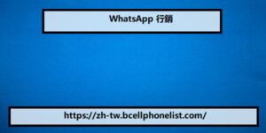 WhatsApp 行銷