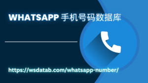 WhatsApp 手机号码数据库