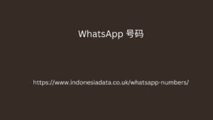 WhatsApp 号码