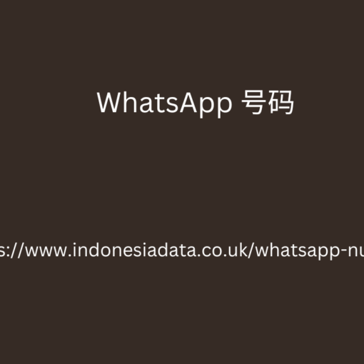 WhatsApp 号码