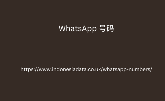 WhatsApp 号码