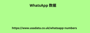 WhatsApp 数据