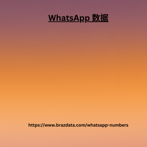 WhatsApp 数据 (1)