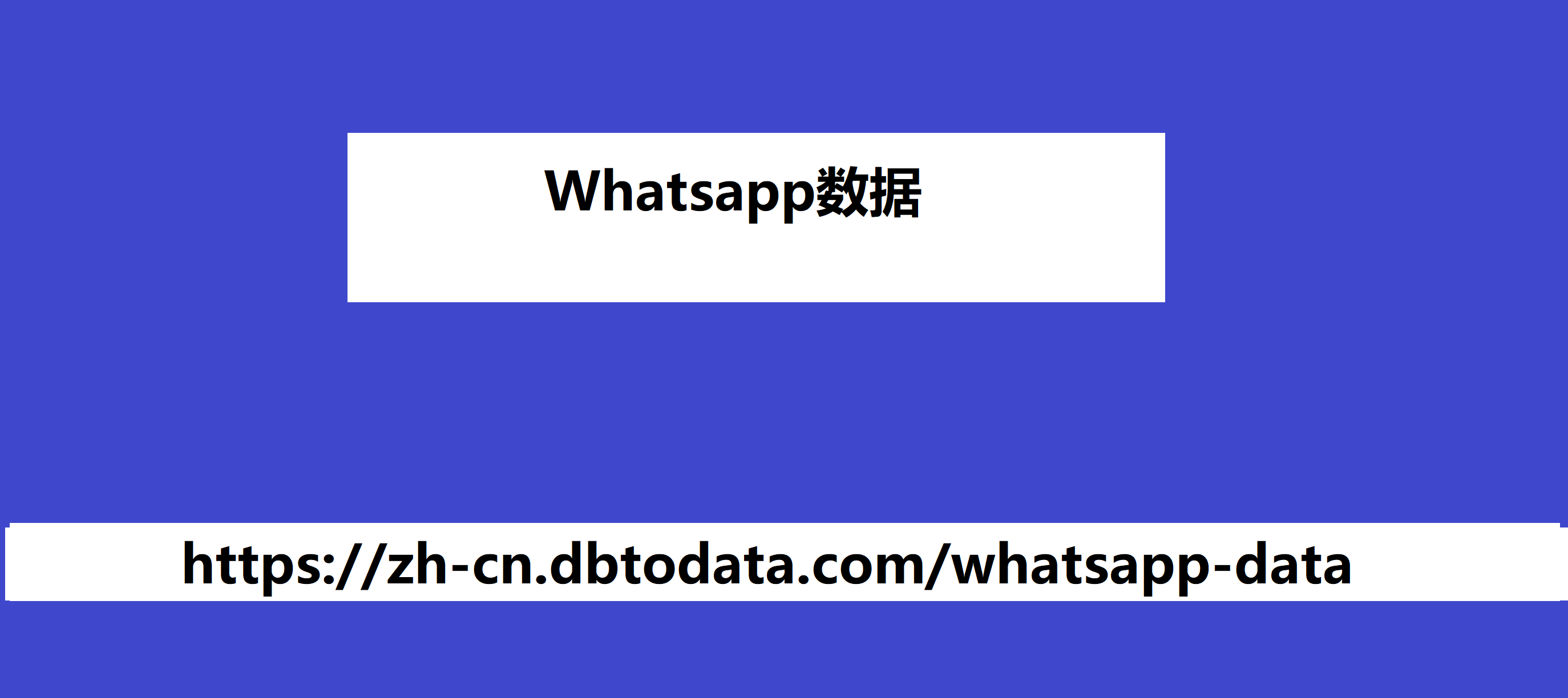 Whatsapp数据