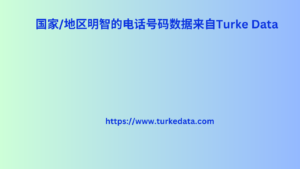 国家地区明智的电话号码数据来自Turke Data