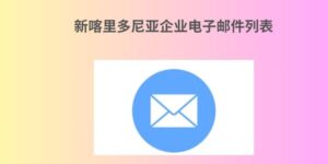 新喀里多尼亚企业电子邮件列表